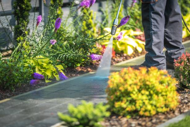 Professional  Pressure Washing Services in Osseo, MN